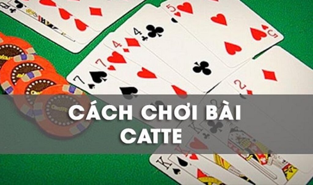 Cao thủ có cách đánh bài catte như thế nào?